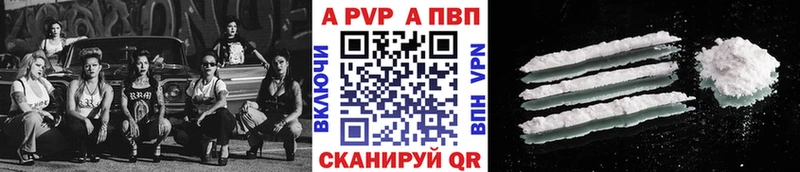 как найти Курильск A PVP СК