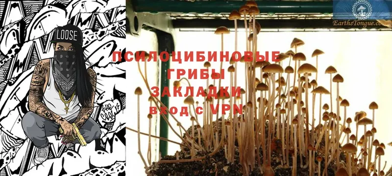 Галлюциногенные грибы Magic Shrooms  МЕГА вход  Курильск 